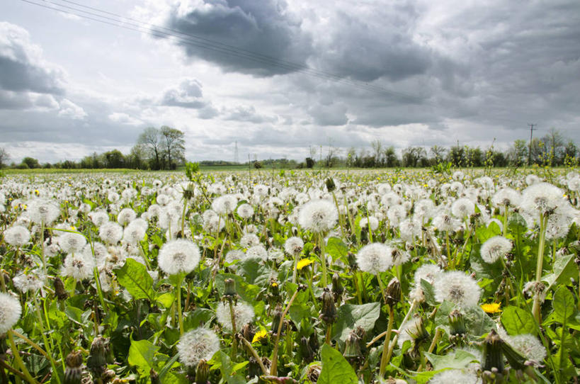 横图,英国,摄影,格洛斯特郡