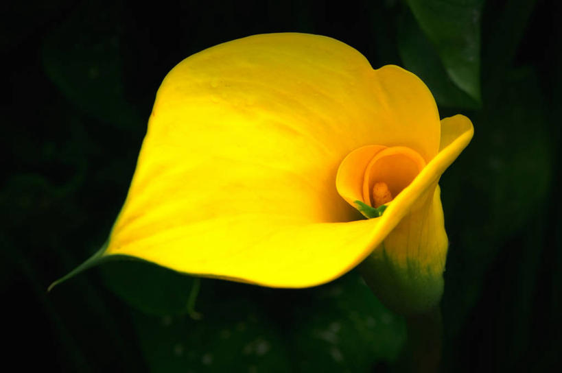 横图,美国,摄影,威斯康星,麦迪逊