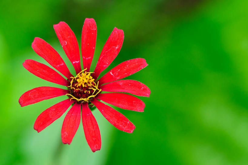 横图,美国,摄影,威斯康星,麦迪逊