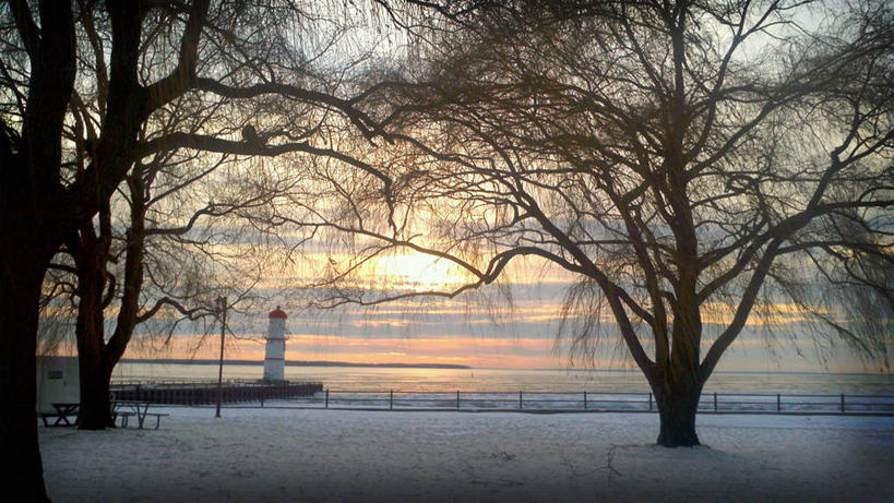 横图,加拿大,摄影,魁北克