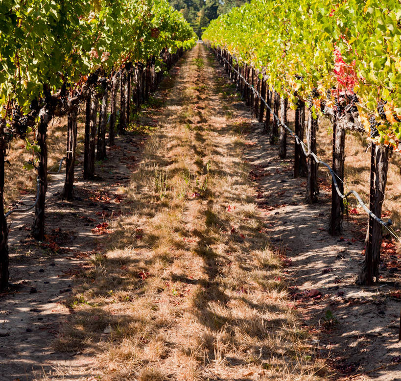 横图,美国,摄影,加利福尼亚