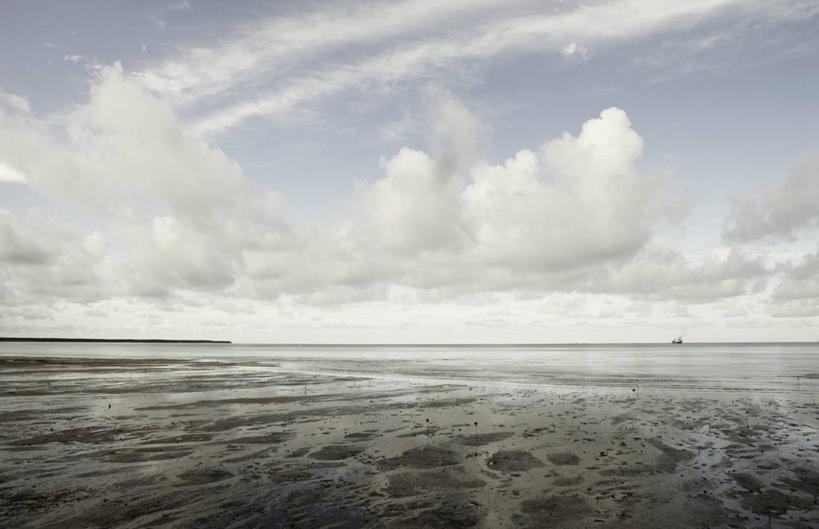 横图,澳大利亚,摄影,昆士兰州,凯恩斯
