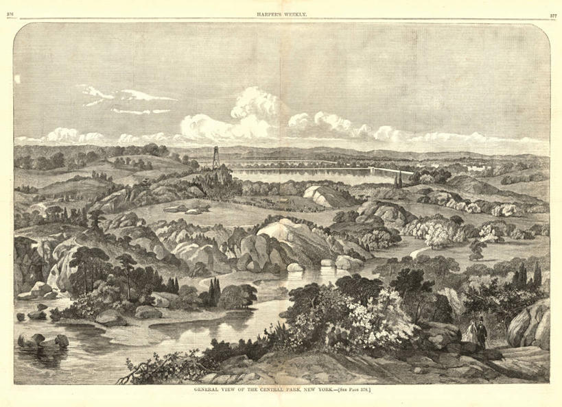 无人,横图,地图,纽约,曼哈顿,历史,古董,中央公园,彩图