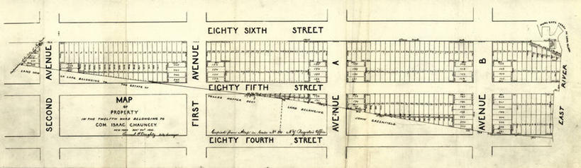 无人,横图,全景,地图,纽约,城镇,历史,古董,彩图,地图学