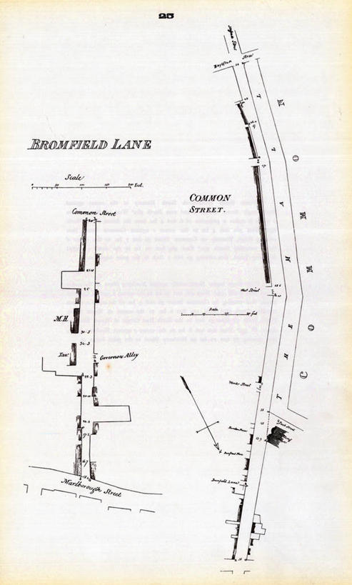 无人,竖图,地图,历史,古董,波士顿,马萨诸塞,彩图,地图学