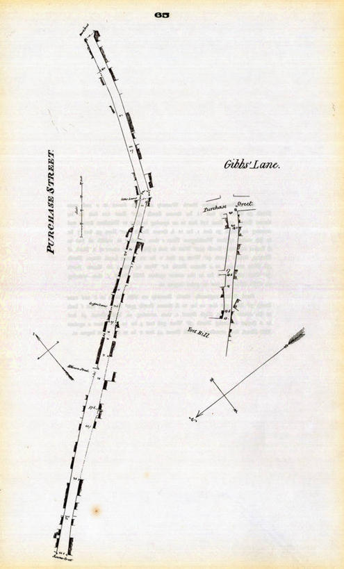 无人,竖图,地图,历史,古董,波士顿,马萨诸塞,彩图,地图学