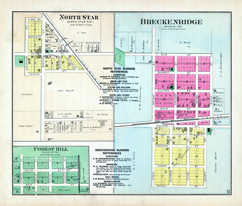 无人,横图,地图,美国,城镇,历史,北极星,古董,北美,北美洲,美洲,北亚美利加洲,亚美利加洲,密歇根,密歇根州,貂熊州,狼獾之州,狼獾州,彩图,美利坚合众国,地图学