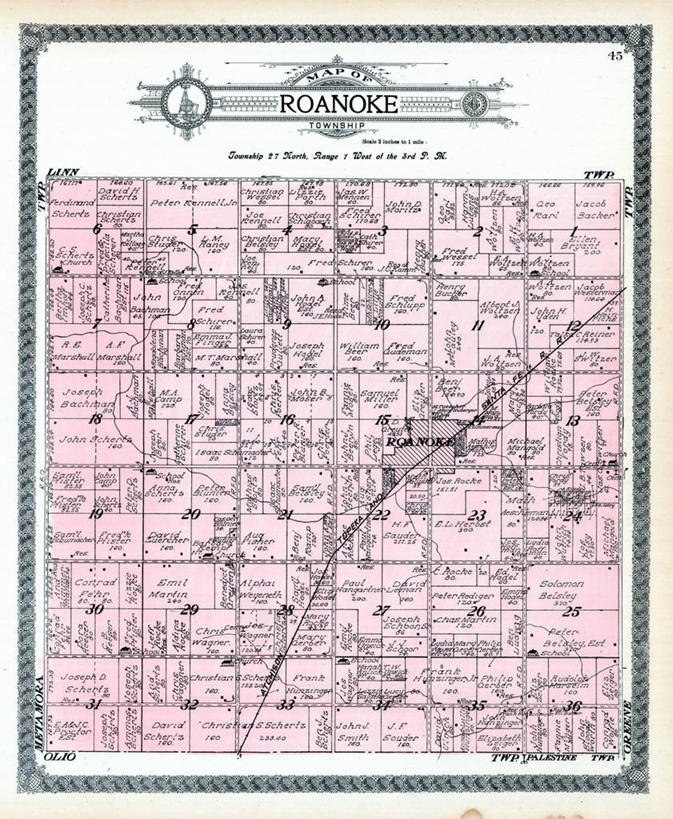 无人,竖图,地图,历史,古董,伊利诺斯州,罗阿诺克,彩图,地图学