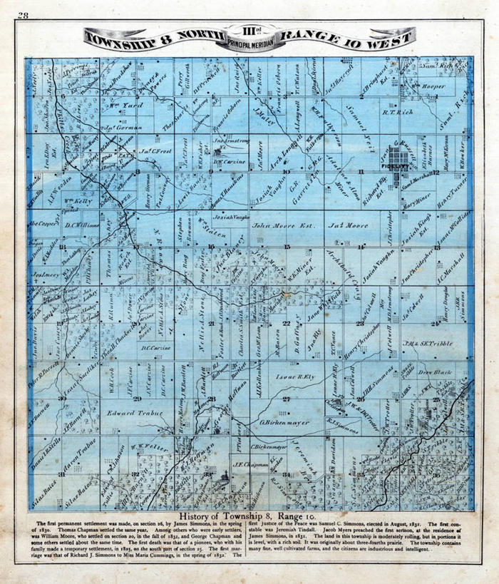 无人,竖图,地图,城镇,历史,古董,伊利诺斯州,忠诚,彩图,地图学
