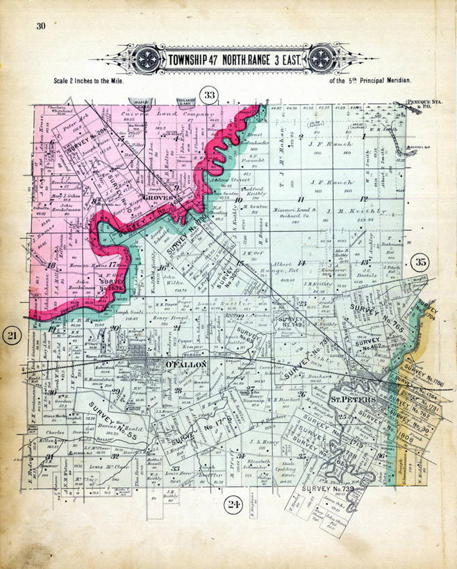 无人,竖图,树林,植物,地图,历史,树,树木,绿色,自然,生长,成长,古董,密苏里,彩图,地图学