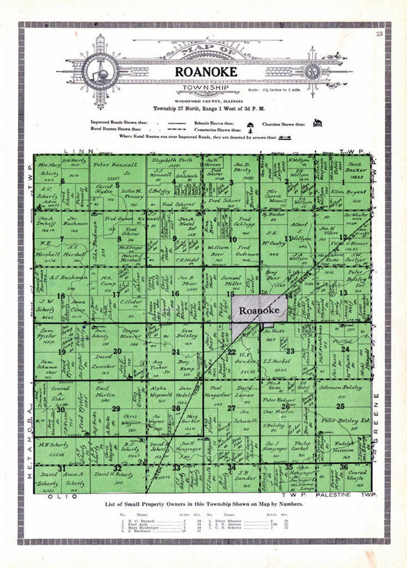 无人,竖图,地图,历史,古董,伊利诺斯州,罗阿诺克,彩图,地图学