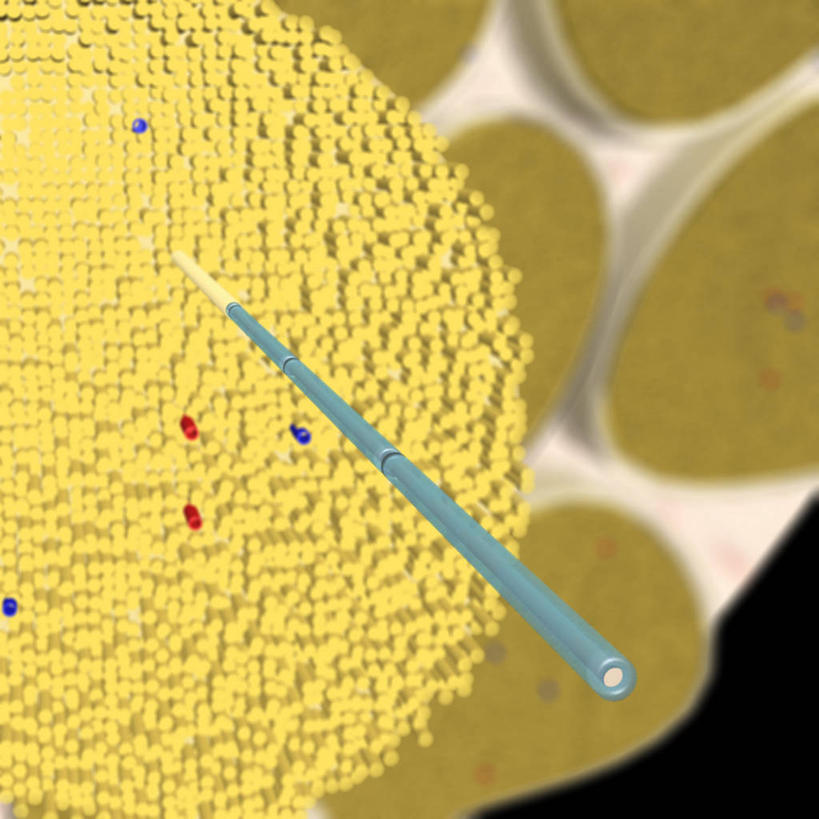 无人,方图,插画,特写,数码,科技,阴影,网络,高光,几何,计算机图形,合成,图画,画,电脑合成图,数码合成图,合成图,漫画,写实,具体,具象,神经纤维,人体结构,髓鞘,脊柱,彩图,神经系统,神经内膜,神经外膜
