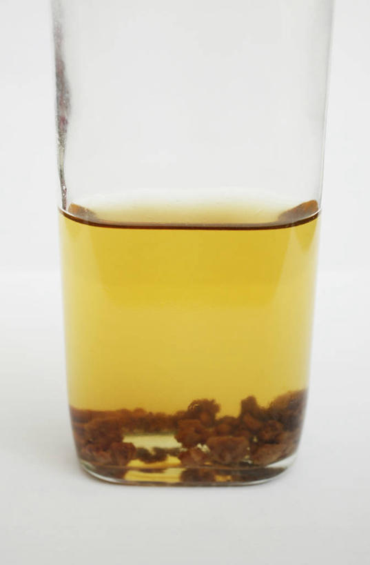 无人,竖图,室内,特写,白天,白色背景,苏丹,半透明,科学,细菌,液体,实验室,褐色,摄影,真菌,科学实验,彩图