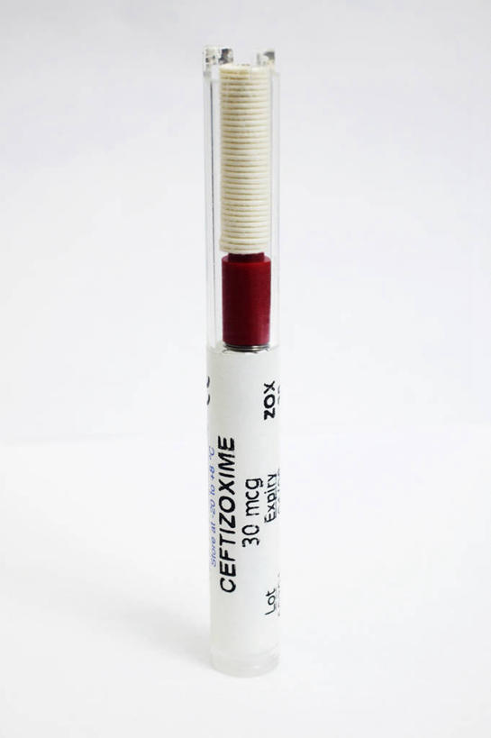 无人,站,竖图,特写,白色背景,苏丹,关闭,药,一个,摄影,药房,单个,英文字母,抗生素,封闭,彩图,影棚拍摄