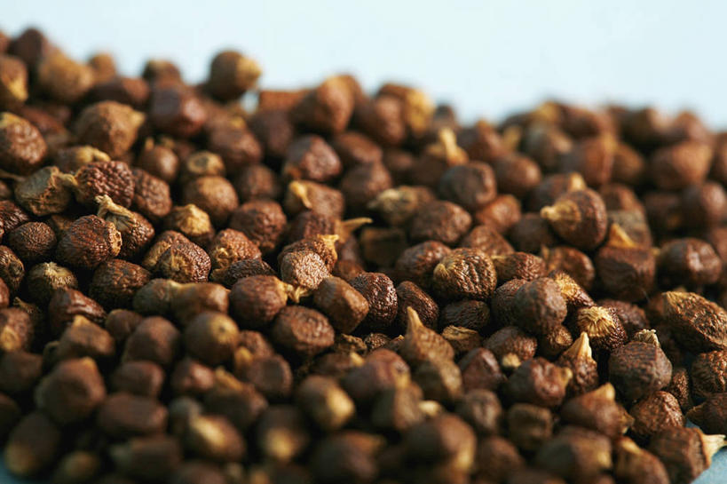 无人,横图,特写,苏丹,许多,蓝色背景,香料,种子,草药,很多,干花,摄影,部分,草本,彩图,影棚拍摄,传统文化