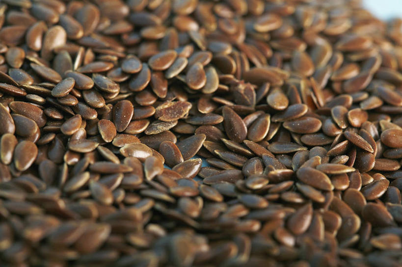 无人,横图,特写,植物,苏丹,许多,药,种子,草药,亚麻,很多,干花,酸,摄影,草本,胡麻,心脏病,纤维作物,油料作物,彩图,全画面,全框架,全帧,影棚拍摄,全画幅