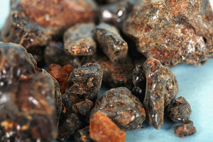 无人,横图,特写,苏丹,许多,药,蓝色背景,草药,很多,干花,摄影,部分,感冒,防腐剂,彩图,影棚拍摄,喉咙痛,泌尿道感染