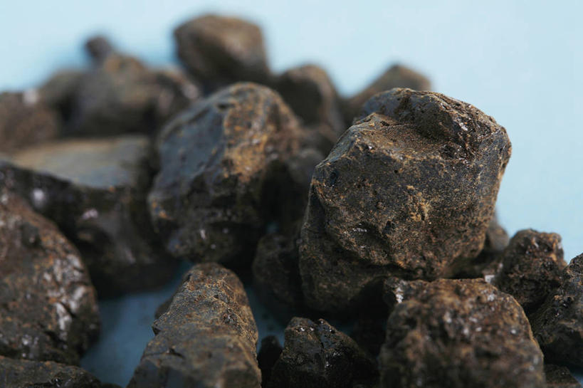 无人,横图,特写,苏丹,许多,蓝色背景,草药,很多,干花,摄影,部分,草本,梅毒螺旋体,关节炎,彩图,影棚拍摄