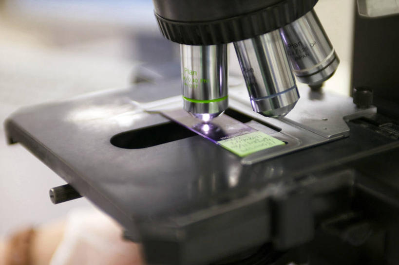 无人,横图,室内,特写,白天,韩国,学习,金属,显微镜,生病,摄影,部分,透镜,载玻片,玻片,盖玻片,彩图