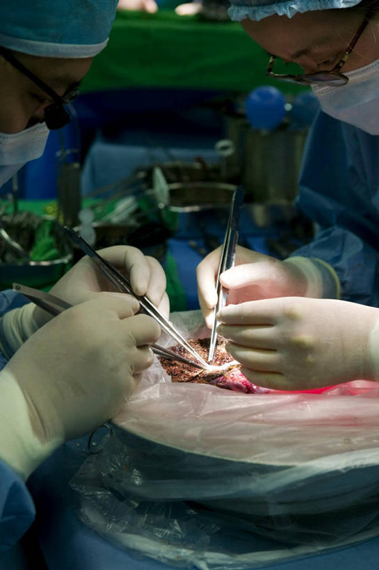 成年人,脸,头,脸颊,两个人,竖图,室内,安全,首尔,韩国,分离,眼镜,防护,首都,过滤,分开,注视,肩膀,灯,口罩,手套,观察,看,隔断,血液,治疗,遮掩,摄影,观看,保护,隔离,察看,手术,医疗,卫生,专心,准确,开刀,掩盖,遮挡,关注,净化,间隔,保险,预防,医疗工具,遮盖,防尘,外科医生,手术帽,保全,周全,安稳,安定,防护手套,掩饰,断绝,隔开,屏蔽,屏绝,远离,中断,阻遏,阻隔,双筒望远镜,消化道,吸收,消化管,消化,技能,排泄,摄取,平安,男人,女人,头部,脸部,脸蛋,面部,彩图,外科手术,消化腺,转运,消化系统