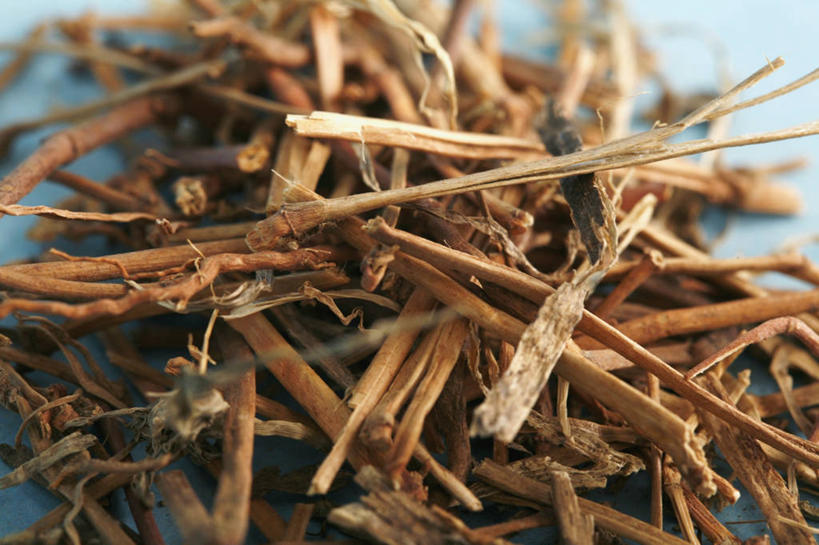 无人,横图,特写,苏丹,许多,药,堆叠,蓝色背景,草药,很多,干花,摄影,部分,癌症,彩图,影棚拍摄,传统文化