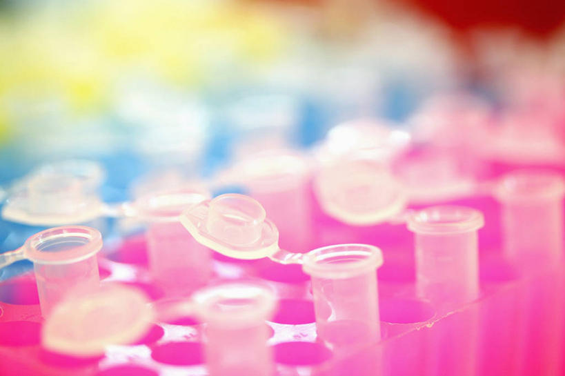 无人,横图,室内,特写,韩国,一排,整齐,化学,实验室,设备,物品,排列,粉色,打开,摄影,部分,开启,队列,彩图