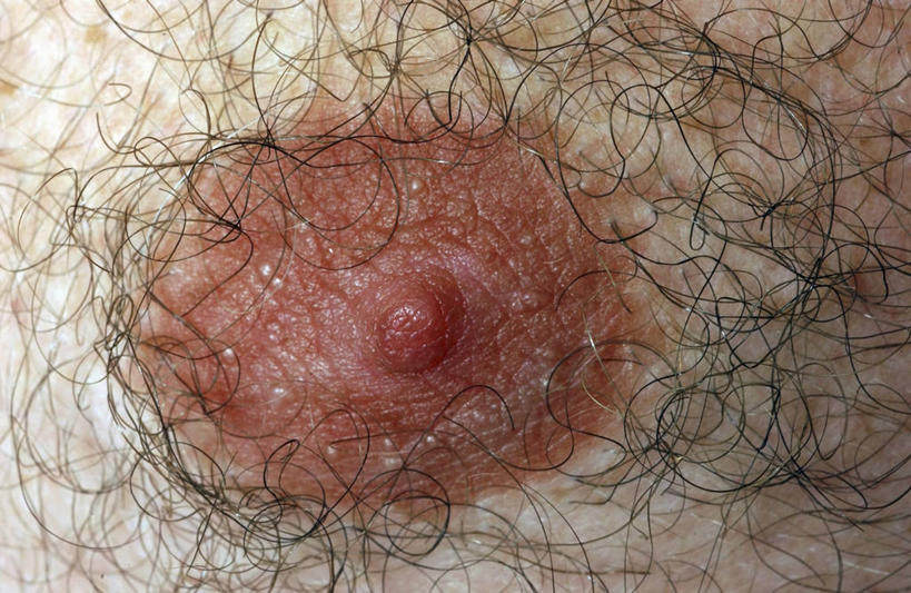 乳房,乳头,头发,一个人,横图,特写,粉色,摄影,皮肤,部分,彩图,全画面,全框架,全帧,影棚拍摄,全画幅