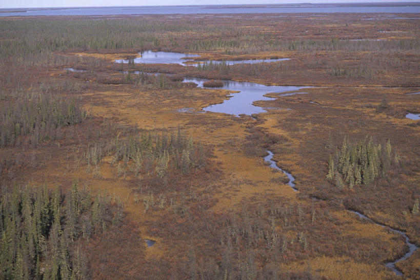 无人,横图,俯视,航拍,室外,白天,湖,河流,加拿大,地形,树,风景,寒冷,摄影,宁静,鸟瞰,针叶林,马尼托巴湖,邱吉尔,彩图,高角度拍摄,旅行,冻原