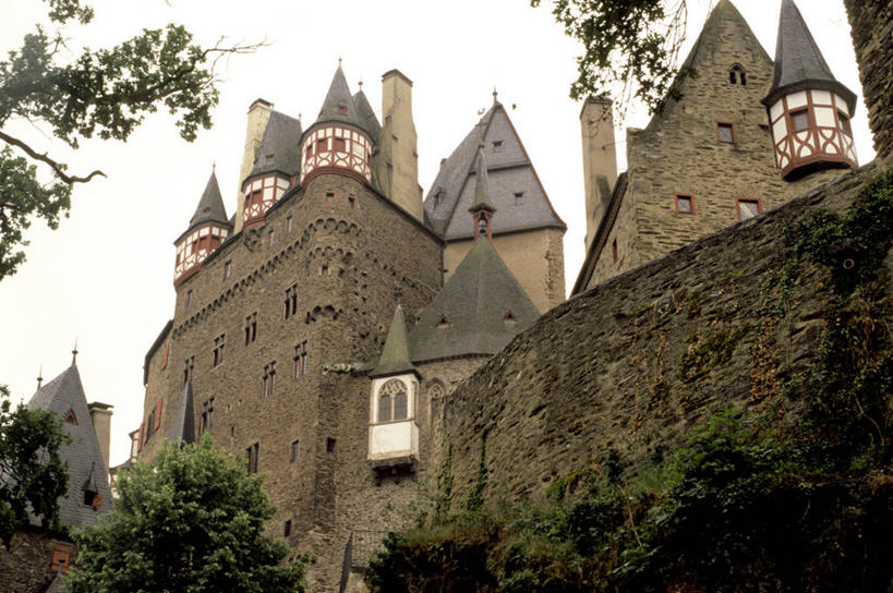 无人,横图,室外,白天,仰视,建筑,德国,城堡,枝,历史,摄影,德国文化,彩图,低角度拍摄