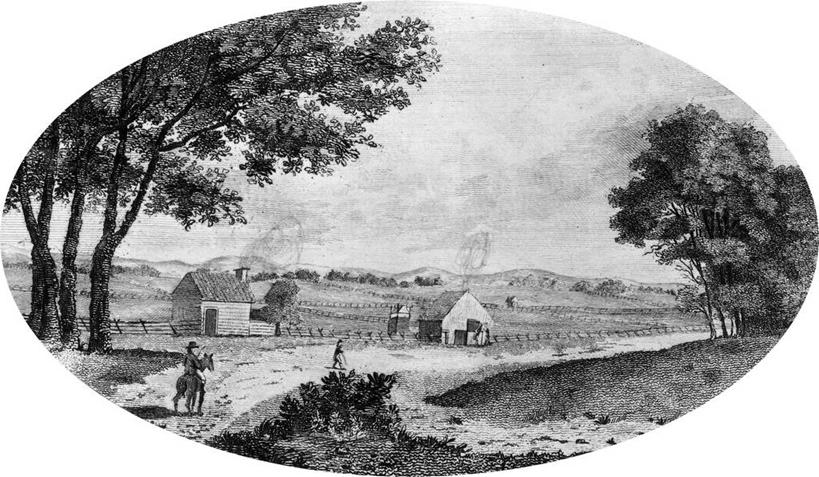 农场,横图,黑白,室外,白天,农业,地形,乡村,历史,新泽西