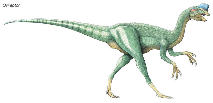 无人,横图,全景,插画,白色背景,数码,科技,阴影,网络,高光,几何,计算机图形,合成,图画,画,恐龙,电脑合成图,数码合成图,合成图,漫画,写实,具体,具象,偷蛋龙,步行,彩图,白垩系