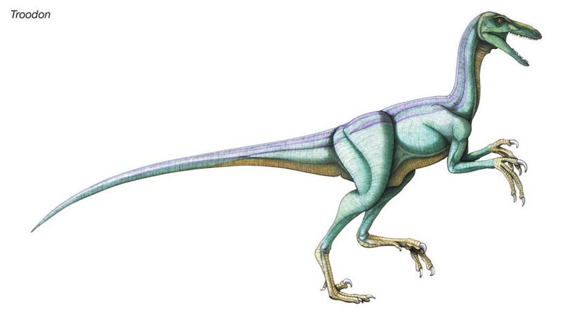 无人,站,横图,插画,白色背景,数码,科技,阴影,网络,高光,几何,计算机图形,合成,图画,画,恐龙,电脑合成图,数码合成图,合成图,漫画,写实,具体,具象,彩图,白垩系