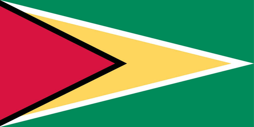 无人,横图,全景,插画,数码,科技,旗帜,圭亚那,阴影,网络,高光,几何,计算机图形,合成,图画,画,黄色,红色,绿色,电脑合成图,数码合成图,合成图,漫画,爱国主义,写实,具体,具象,彩图