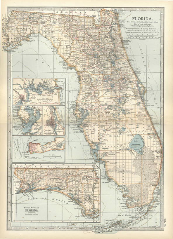 无人,竖图,插画,探险,数码,科技,海洋,地图,美国,阴影,网络,海岸线,高光,几何,计算机图形,古典,合成,图画,画,大西洋,指导,英文字母,电脑合成图,数码合成图,北美,北美洲,合成图,边界,美洲,漫画,佛罗里达,佛罗里达州,佛州,阳光州,写实,具体,具象,北亚美利加洲,亚美利加洲,墨西哥湾,圣奥古斯丁,自然地理,彩图,美利坚合众国,坦帕