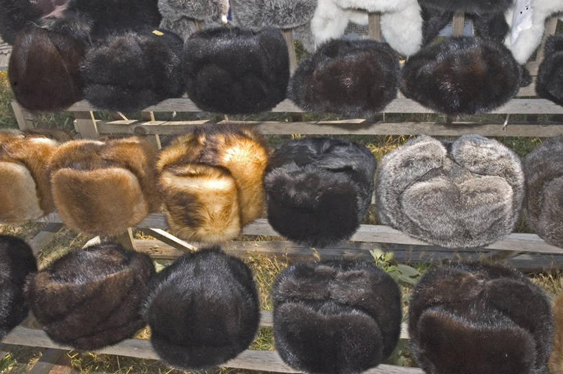 横图,室外,白天,帽子,欧洲,乌克兰,一排,整齐,军事,市场,货摊,排列,衣服,摄影,队列,裘皮帽,彩图