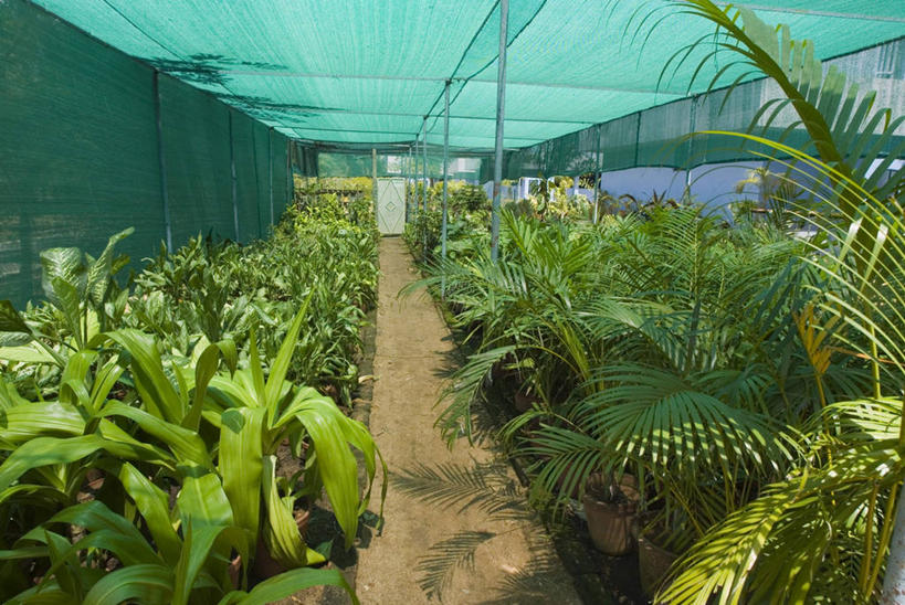 横图,室内,白天,印度,覆盖,天气,摄影,生长,能源,农具,循环利用,替代能源,环境保护,灌溉设备,耕具,泰米尔纳德邦,印度次大陆,彩图