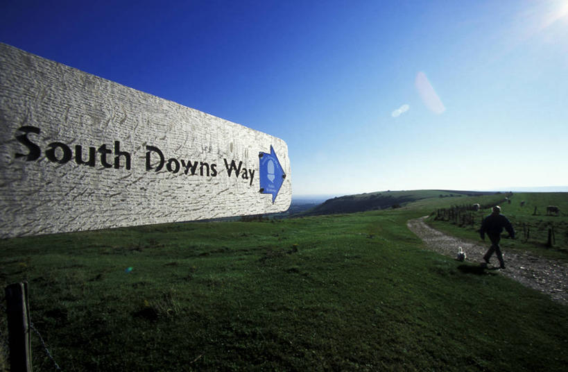 横图,室外,特写,白天,旅游,度假,美景,丘陵,山,狗,英国,中国,亚洲,标志,文字,地形,景观,小路,娱乐,云南,草,天空,自然,黄昏,动物,享受,休闲,景色,放松,摄影,自然风光,北欧,户外活动,东亚,云南省,中华人民共和国,西南地区,滇,文山,文山州,文山壮族苗族自治州,苏塞克斯,方向标,休闲活动,步行,彩图,丘北县,南丘村