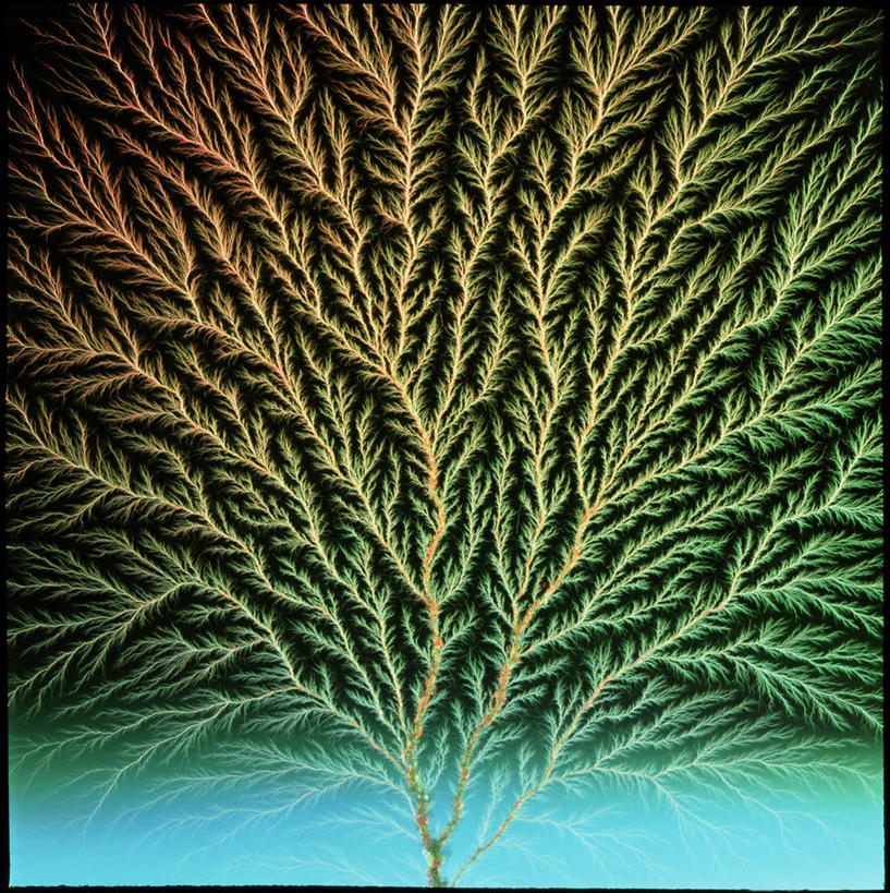 无人,竖图,插画,室内,白天,正面,数码,科技,植物,阴影,网络,纹路,纹理,枝条,高光,几何,计算机图形,合成,图画,画,树,树木,树枝,绿色,自然,生长,成长,电脑合成图,数码合成图,合成图,漫画,粒子,肌理,写实,具体,具象,虬枝,枝杈,次原子粒子,亚原子,亚原子粒子,彩图