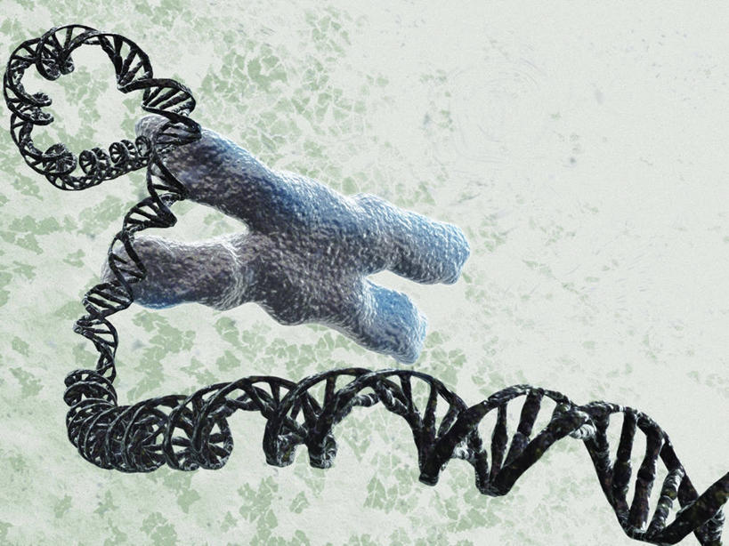 无人,横图,插画,室内,白天,正面,数码,科技,阴影,科学,网络,基因,细胞核,染色体,高光,几何,计算机图形,合成,图画,画,生物,遗传,电脑合成图,数码合成图,脱氧核糖核酸,合成图,蛋白质,漫画,写实,具体,具象,DNA分子,核糖核酸,去氧核糖核酸,染色质,遗传信息,遗传因子,遗传学,胞嘧啶,鸟嘌呤,腺嘌呤,胸腺嘧啶,X染色体,性染色体,螺旋状,彩图,螺旋形,螺旋形状,螺旋型,配对,核碱基,碱基,嘧啶,嘌呤,维生素B4,普林,5-甲基尿嘧啶,2-氨基-6-羟基嘌呤