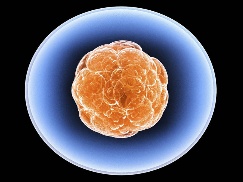 无人,横图,插画,室内,白天,正面,数码,科技,微生物,阴影,黑色背景,科学,网络,医学,圆形,图形,细胞,圆,高光,几何,计算机图形,合成,图画,画,橙色,纤维,电脑合成图,数码合成图,生物学,合成图,数学,漫画,写实,具体,具象,结缔组织,自然科学,博物学,生物科学,彩图,几何图形,平面图形,组织细胞,基本组织,基质,细胞外间质,起源细胞,万用细胞,未分化细胞,干细胞