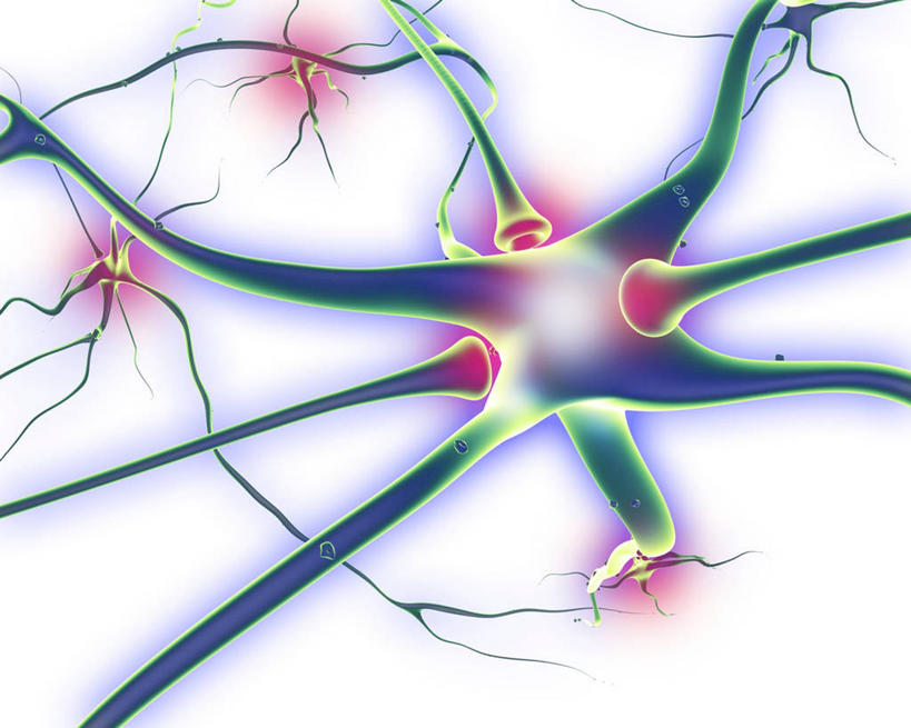 无人,横图,插画,室内,白天,白色背景,正面,数码,科技,微生物,阴影,传递,科学,网络,细胞,高光,几何,计算机图形,联系,合成,图画,画,电脑合成图,数码合成图,生物学,传送,合成图,漫画,神经元,写实,具体,具象,突触,神经细胞,自然科学,博物学,生物科学,接触,彩图,接点
