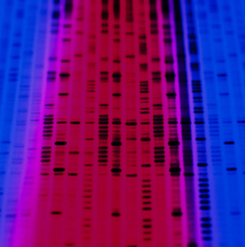 无人,竖图,室内,特写,白天,正面,科学,基因,红色,蓝色,生物,遗传,脱氧核糖核酸,DNA分子,去氧核糖核酸,遗传信息,遗传因子,遗传学,彩图