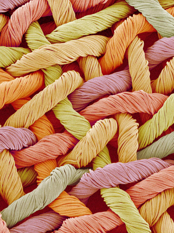 无人,竖图,俯视,室内,特写,白天,仪器,纺织品,检查,环绕,缠绕,反射,分析,科学,布,显微镜,织物,观察,清晰,探索,放大,观看,仔细,布匹,透镜,凸透镜,聚焦,关注,纠缠,尼龙,光学,清楚,显微图片,彩图,高角度拍摄,锦纶,耐纶,扫描电镜,扫描电子显微镜