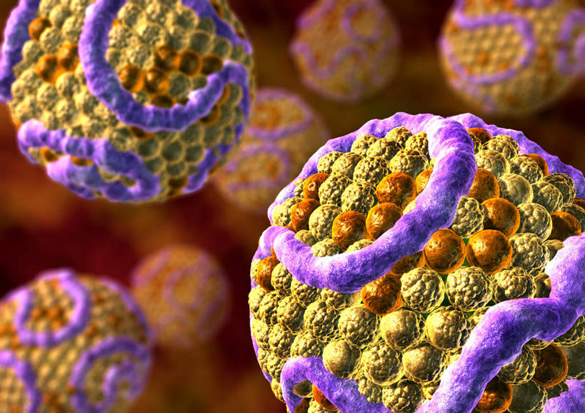 血管,无人,横图,插画,室内,白天,正面,数码,科技,阴影,网络,高光,几何,计算机图形,合成,图画,画,黄色,紫色,脂肪,电脑合成图,数码合成图,疾病,合成图,漫画,写实,具体,具象,动脉硬化,胆固醇,彩图,动脉硬化症,血管疾病,胆甾醇,类固醇