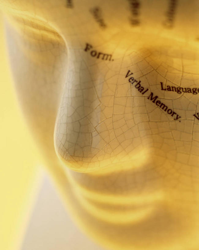 脸,头,脸颊,无人,竖图,俯视,室内,特写,白天,静物,阴影,反射,英文,标志,文字,影子,字符,字母,标识,模型,英文字母,头部,脸部,脸蛋,面部,彩图,高角度拍摄,人体模型