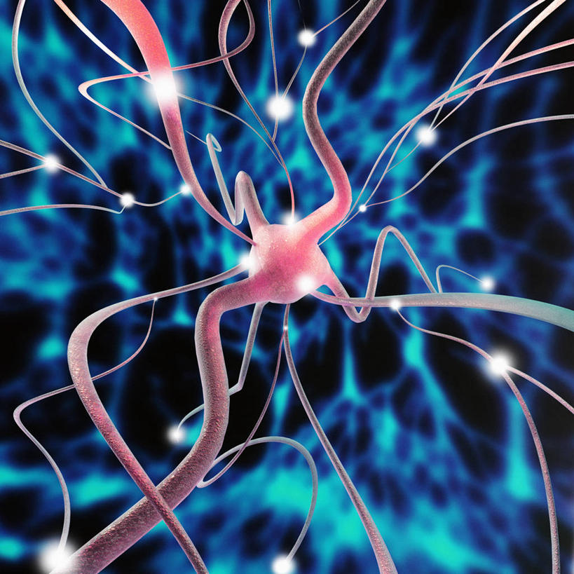 无人,方图,室内,白天,正面,仪器,微生物,检查,反射,分析,科学,医学,纹路,纹理,细胞,显微镜,粉色,蓝色,观察,清晰,探索,放大,观看,仔细,纤维,透镜,生物学,凸透镜,聚焦,关注,神经元,肌理,光学,清楚,树突,神经细胞,结缔组织,显微图片,细胞突起,彩图,组织细胞,基本组织,基质,细胞外间质