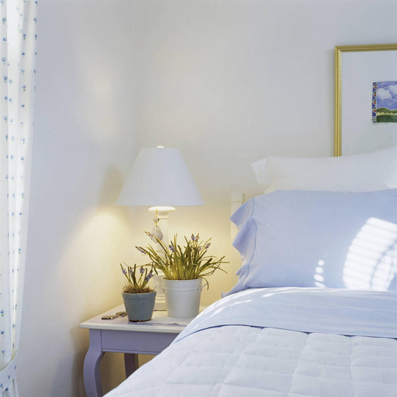 爱情,卧室,静物,日光,浪漫,床上用品,白色,香草,平原,薰衣草,呼吸,灵香草,黄香草,奇迹