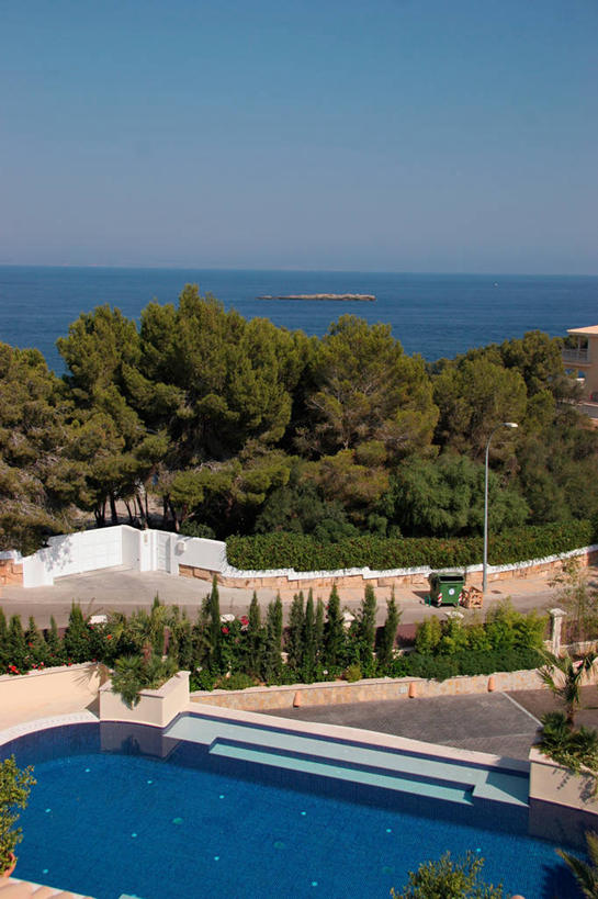 无人,游泳池,家,竖图,室外,白天,水,日光,西班牙,欧洲,球袋,院子,当代