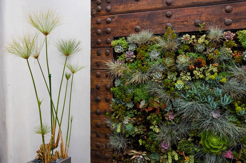 无人,横图,室外,白天,日光,美国,装饰,木制,墙,装饰物,生长,北美,加利福尼亚,好莱坞,装裱