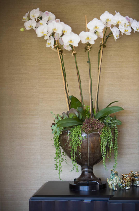 无人,竖图,室内,特写,柜子,美国,装饰,花,排列,白色,装饰物,北美,加利福尼亚,当代